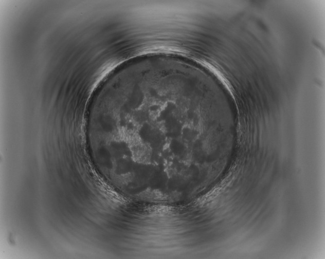 X0000097490783200802291431