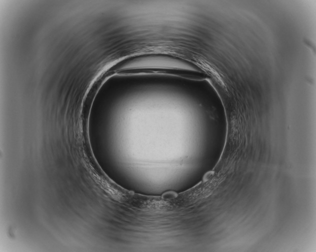 X0000097490784200802291431