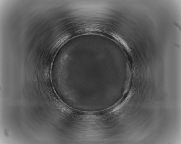 X0000097490785200802291431