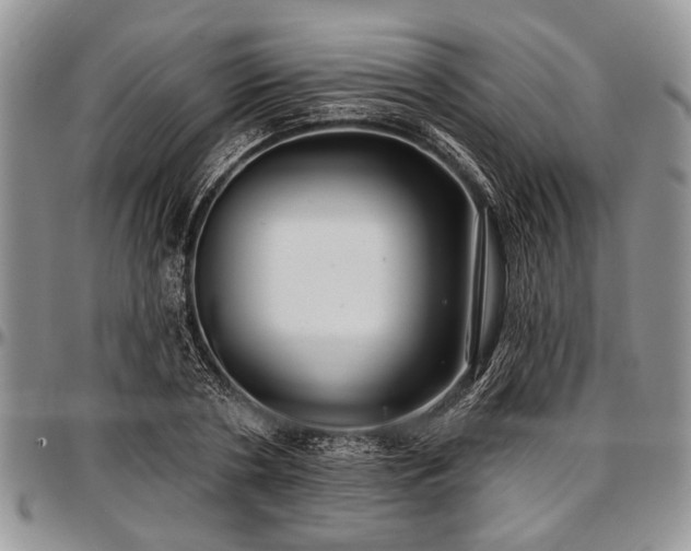 X0000097490786200802291431