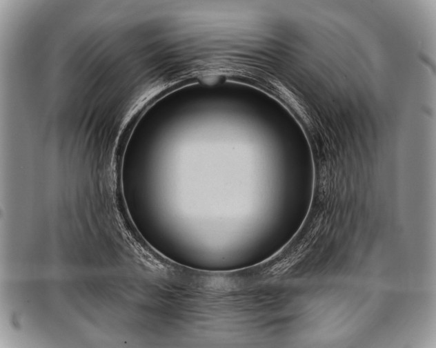 X0000097490787200802291431