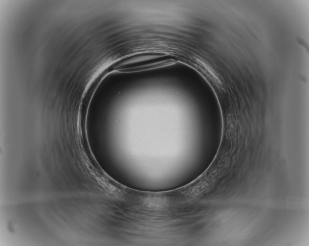 X0000097490788200802291431