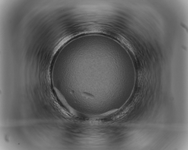 X0000097490789200802291431