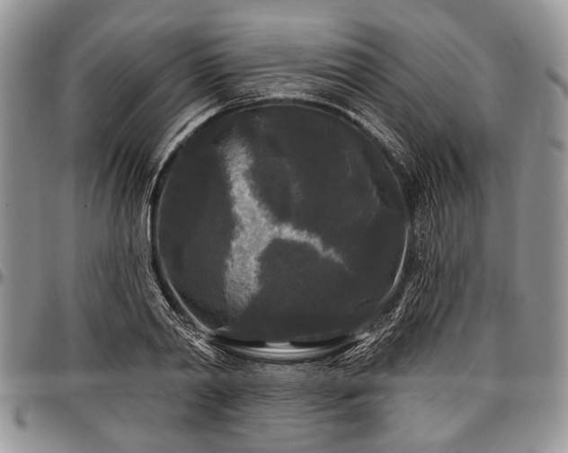 X0000097490790200802291431