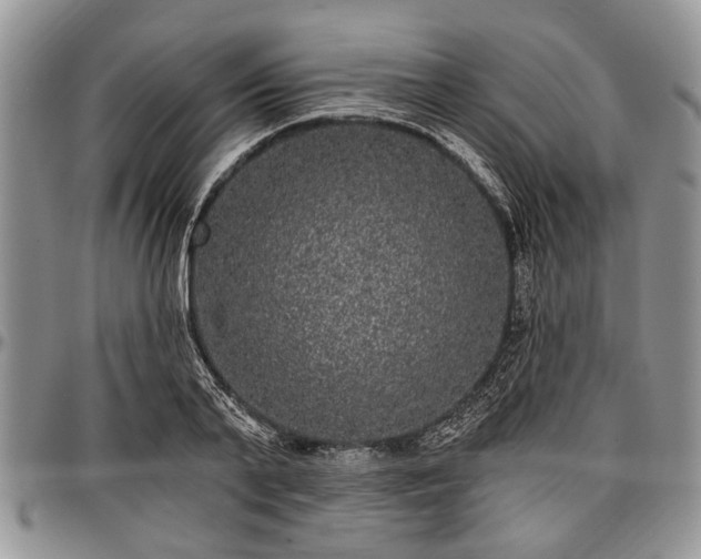 X0000097490791200802291431