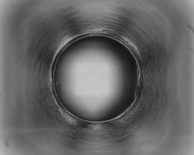 X0000097490792200802291431