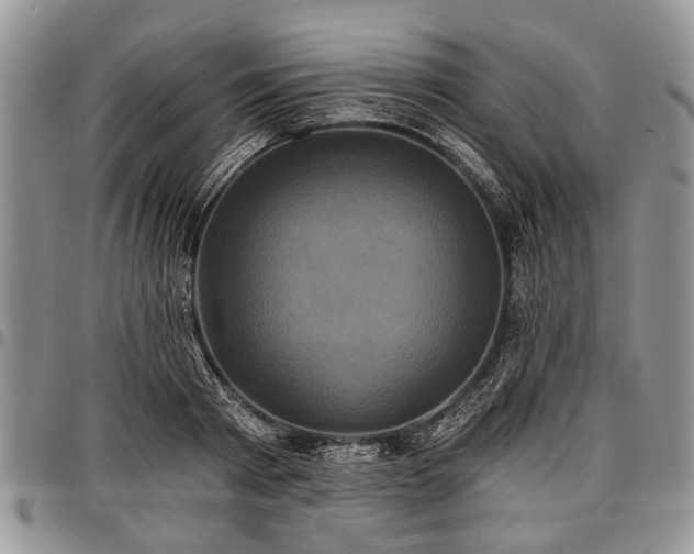 X0000097490793200802291431