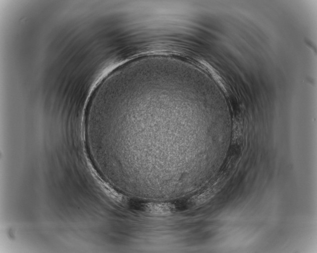 X0000097490795200802291431