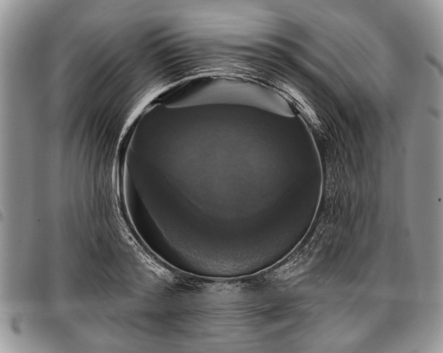 X0000097490796200802291431