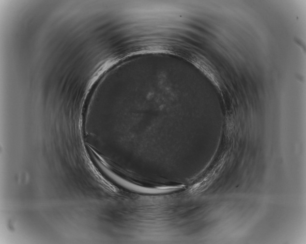 X0000097490797200802291431