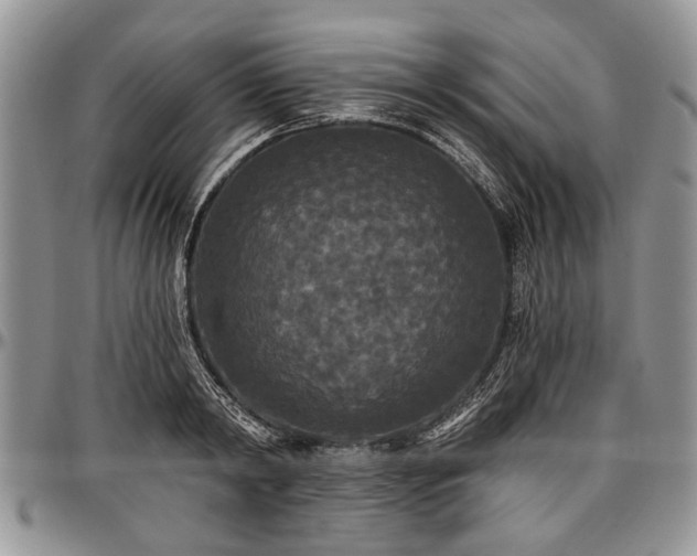 X0000097490798200802291431