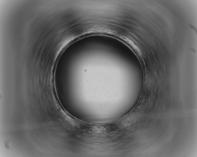 X0000097490799200802291431