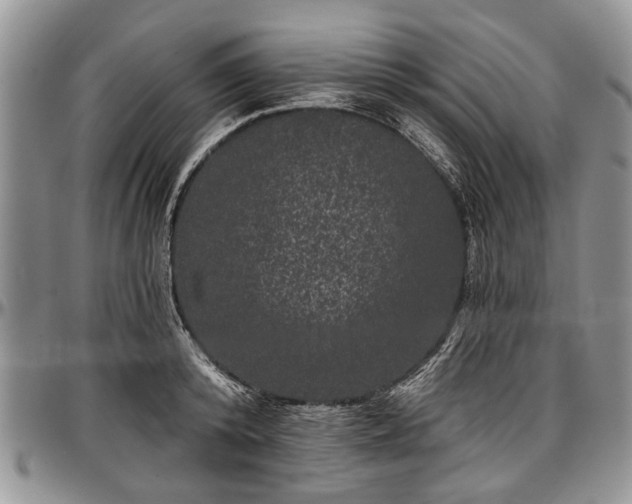 X0000097490800200802291431