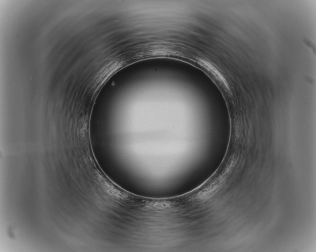 X0000097490801200802291431