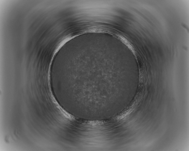 X0000097490803200802291431