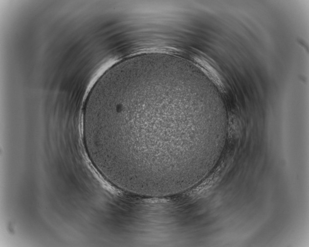 X0000097490804200802291431