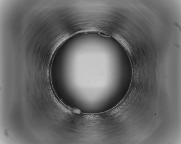 X0000097490805200802291431