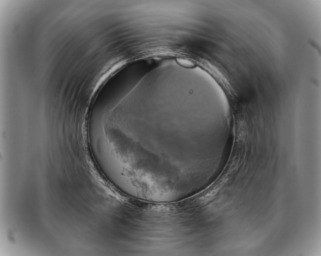 X0000097490806200802291431