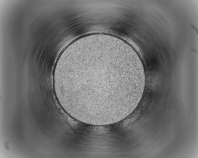 X0000097490807200802291431