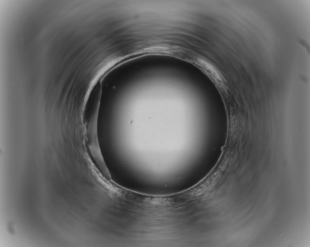 X0000097490808200802291431