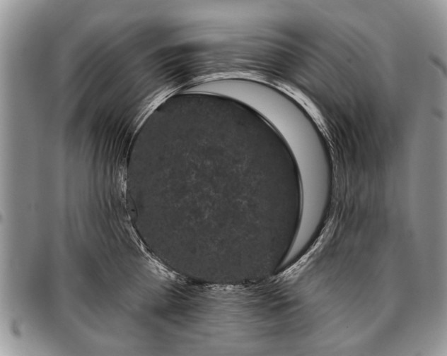 X0000097490809200802291430