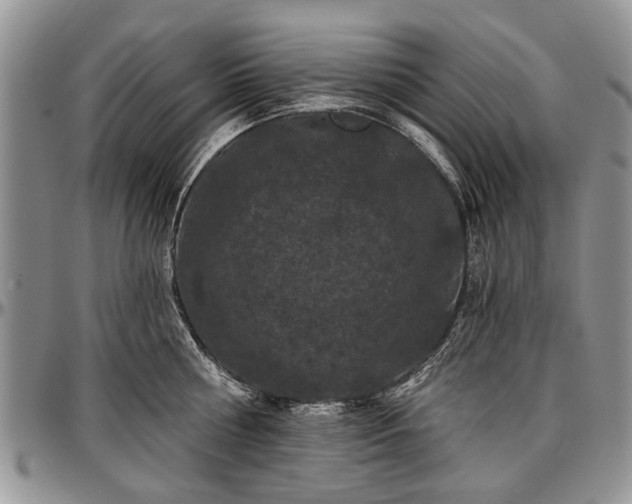 X0000097490810200802291430