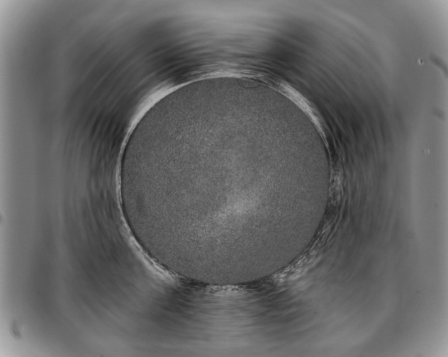 X0000097490811200802291430