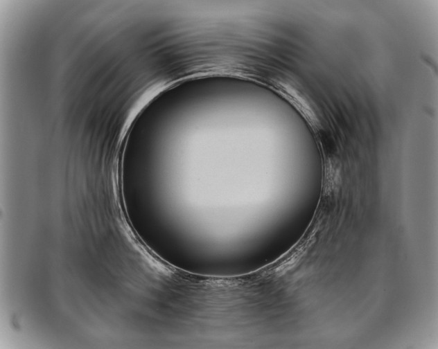 X0000097490812200802291430