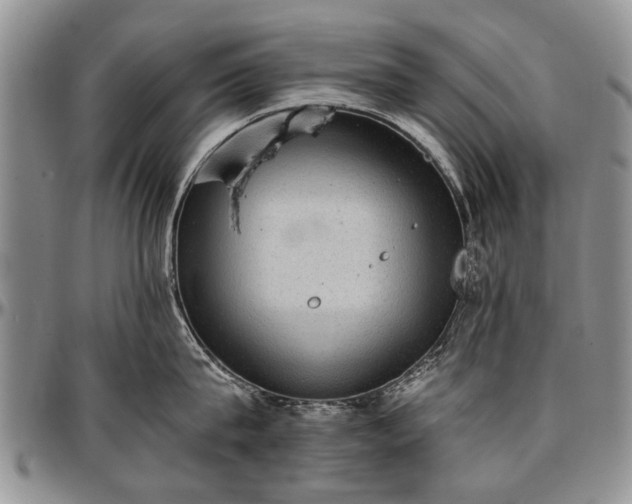 X0000097490815200802291430