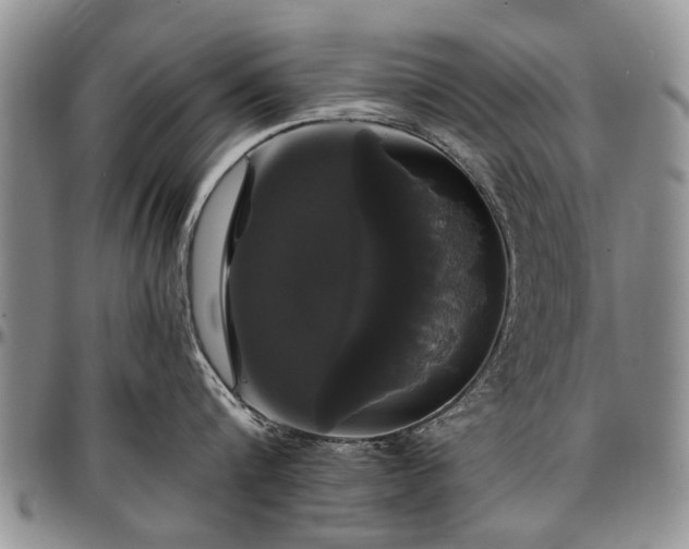 X0000097490816200802291430