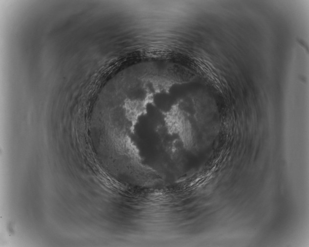 X0000097490817200802291430