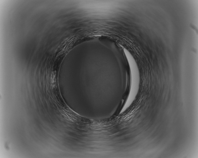 X0000097490818200802291430