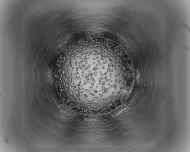 X0000097490819200802291430