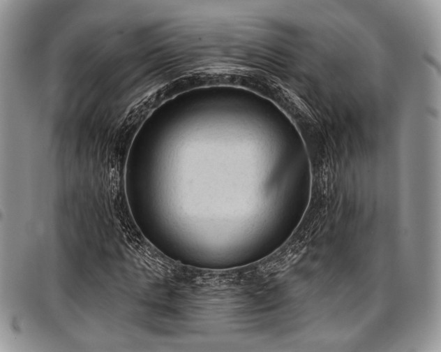 X0000097490821200802291430