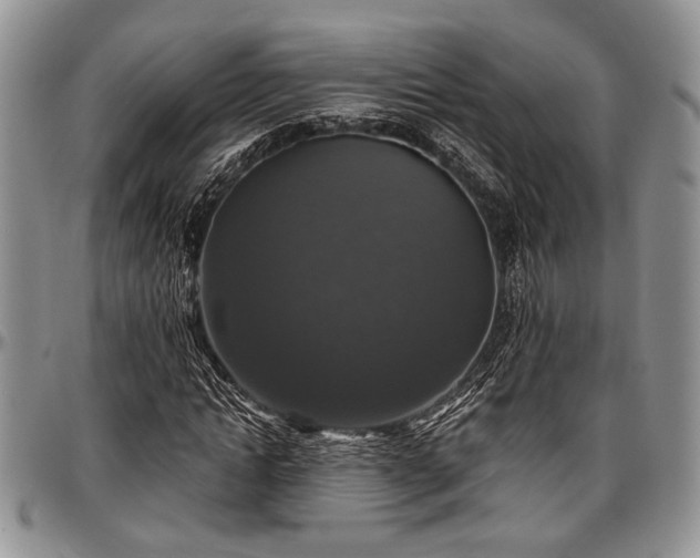 X0000097490822200802291430