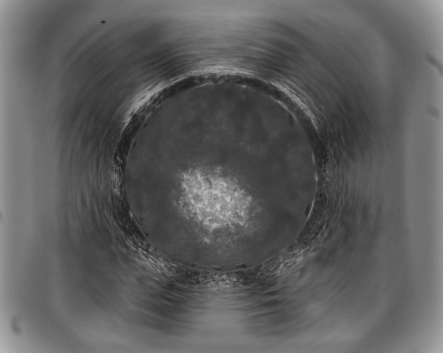 X0000097490823200802291430