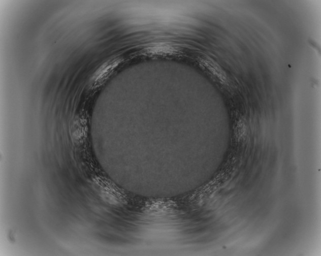 X0000097490824200802291430