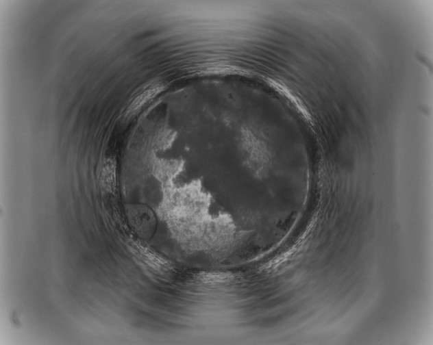 X0000097490825200802291430