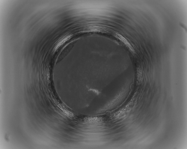 X0000097490826200802291430