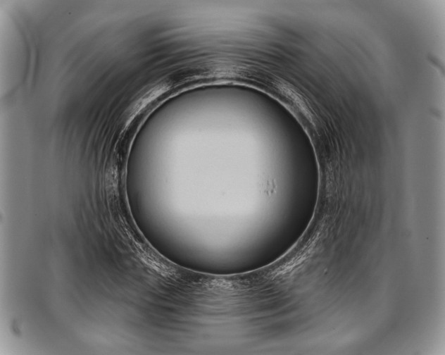 X0000097490827200802291430