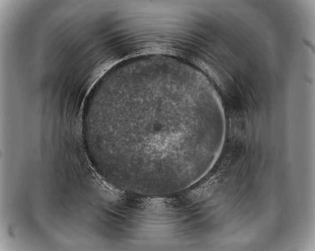 X0000097490828200802291430