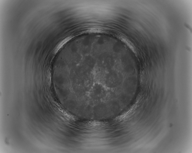 X0000097490829200802291430