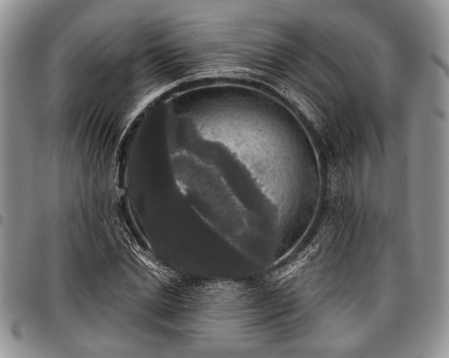 X0000097490830200802291430