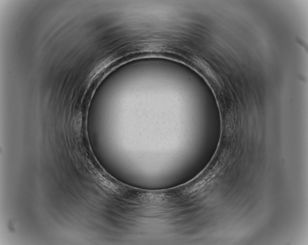 X0000097490831200802291430