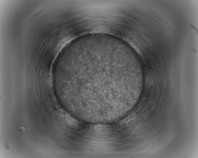 X0000097490832200802291430