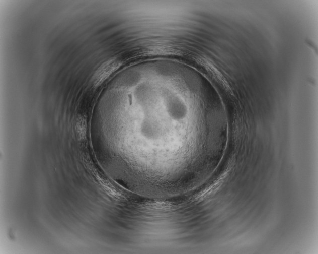 X0000097490833200802291430