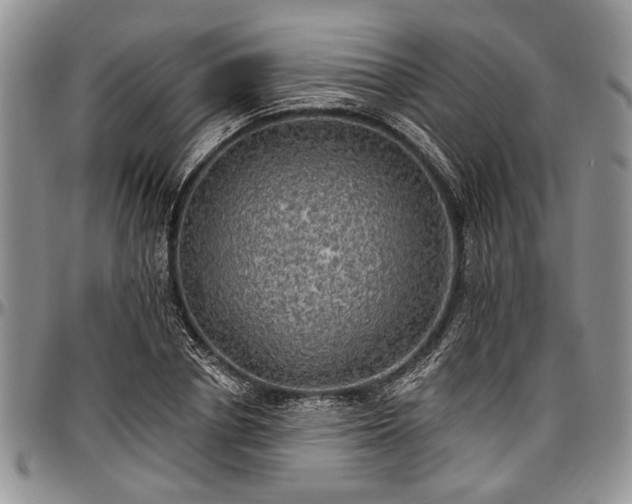 X0000097490834200802291430