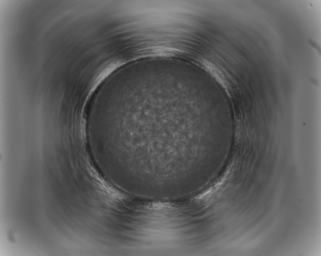 X0000097490835200802291430