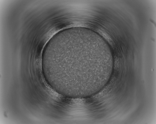 X0000097490836200802291430