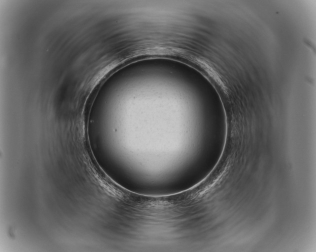 X0000097490837200802291430